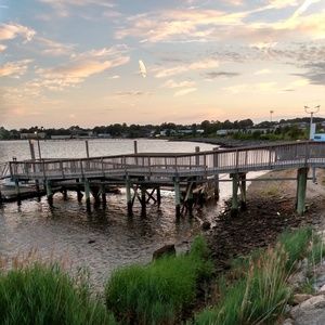 Meet your Posher, Mickey